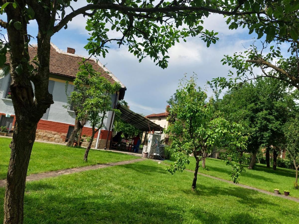 Apartmani Petkovic 226 Velika Drenova Exterior photo